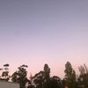amywang1228