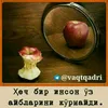 turgut0587