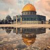 zaid_palestine