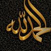 hoda.said269
