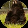 bearsubjectnumber7