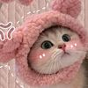 helloy9190