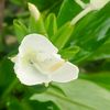 ko.ko.naing417