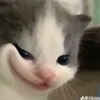 hi010947
