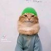 muslim_cat21