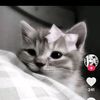 xyou.tra