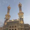 zema_377