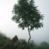 sowak070466