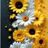 ayeshairshad525