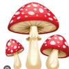 ajudaroproximoo3