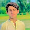 shahzaibboxer9