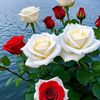 user9121129788401