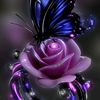 amina.mrisho6