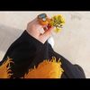 kanwalzoologist
