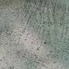hoangnhan_113
