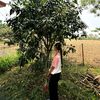 laxmi.kc239