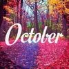 an_accountant_shereen