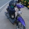adilnibosss