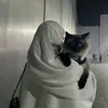 a_my_55.6