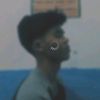 ardi.04_