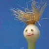 vaan._.ngocj