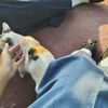 kittykindlovs._