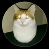 egg_catdangso