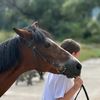 horses_its_my_lif