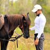 horse.banua