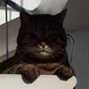 massimo.bellinato8