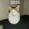 ngngchtn