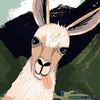 rilthekits5