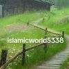 islamicworld5338