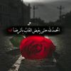 user25762458020925