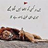 munir7792