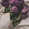 lady_du3a