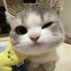 rival024617gmail.com
