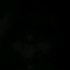 hamza.essam019