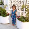 anwar.hussain290