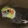 raheelmohammed01