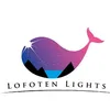 lofotenlights8
