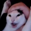 flipfeef