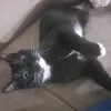 dani_gamer_play