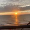 gracegriffiths48