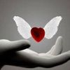 ayman.mohamed530