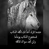 rabihjasmin