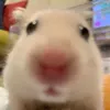 naomii5090