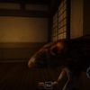 zarakkn11