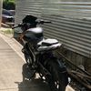 jefferson_hrndz19
