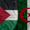 ahmed.houari968